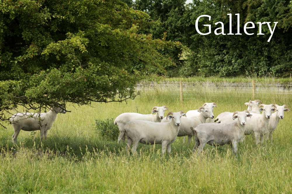 View our photo gallery View our photo gallery